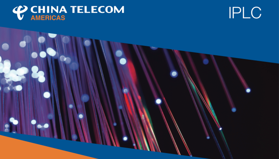 IPLC datasheet