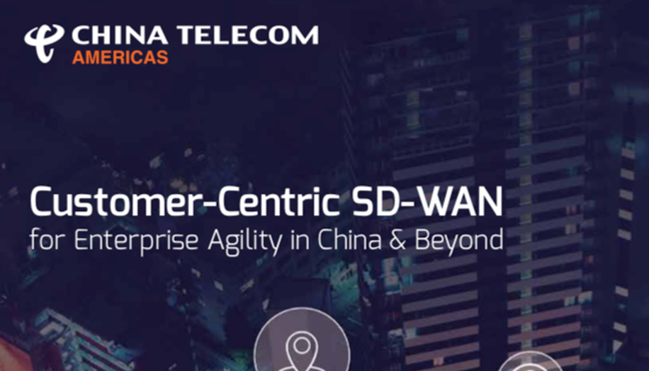 customer centric sdwan